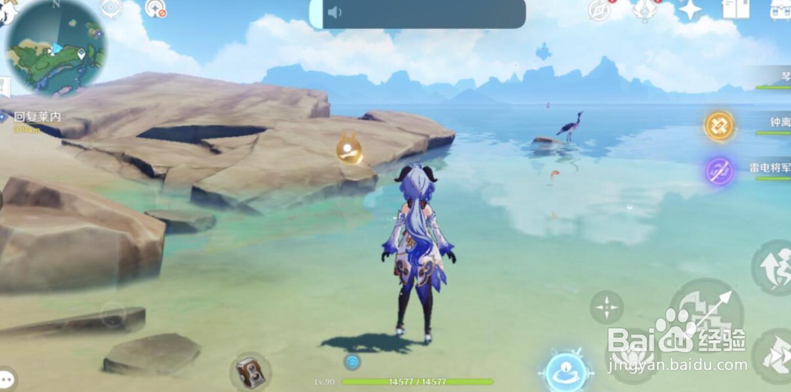 原神稻妻特色动物拍照位置一览