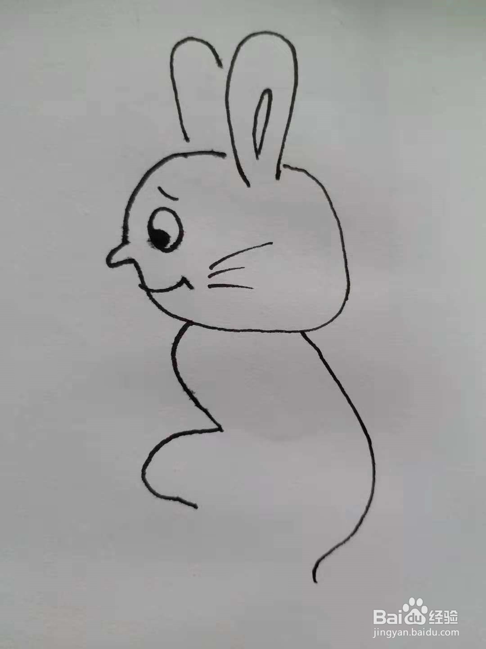 卡通兔的简笔画法《六》
