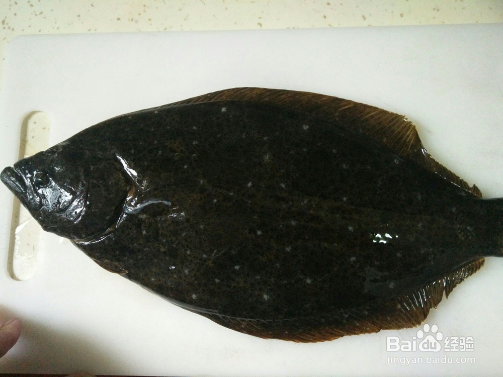 怎么做清蒸鸦片鱼