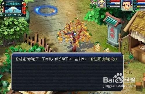 梦幻西游摇钱树苗怎么种