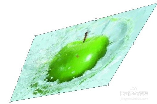 PS软件操作---图像变形