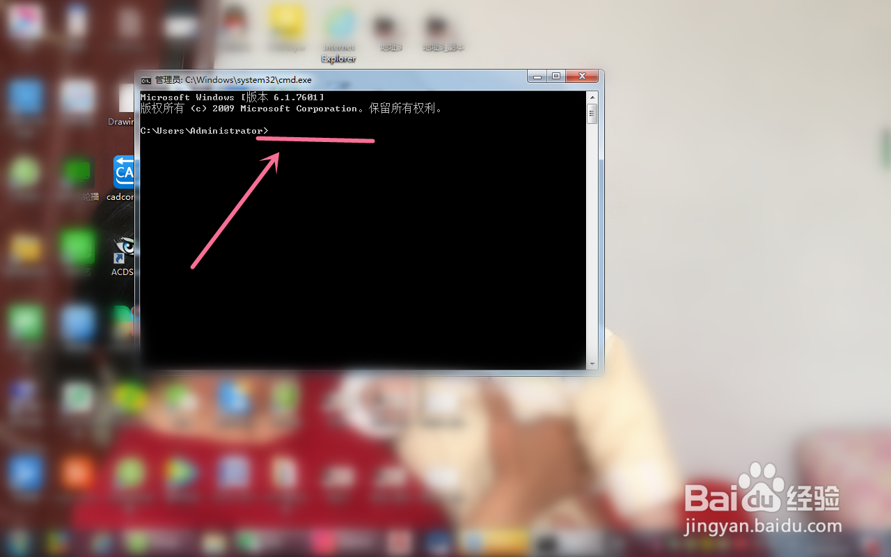 怎样查看电脑的IP地址