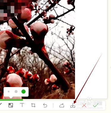 微信电脑版上的图片怎样添加马赛克并下载？