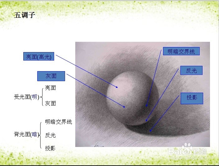 素描中的三大面五大调是什么意思
