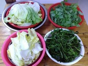 食补佳品羊肉火锅的做法