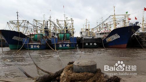 台风怎样避险防灾