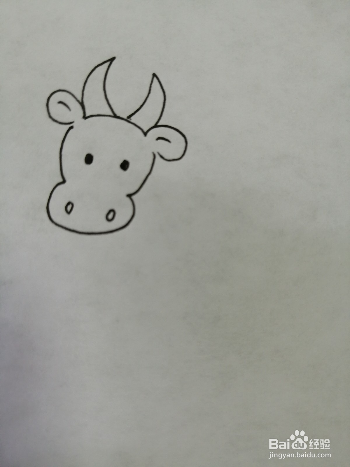 可爱的小牛怎么画