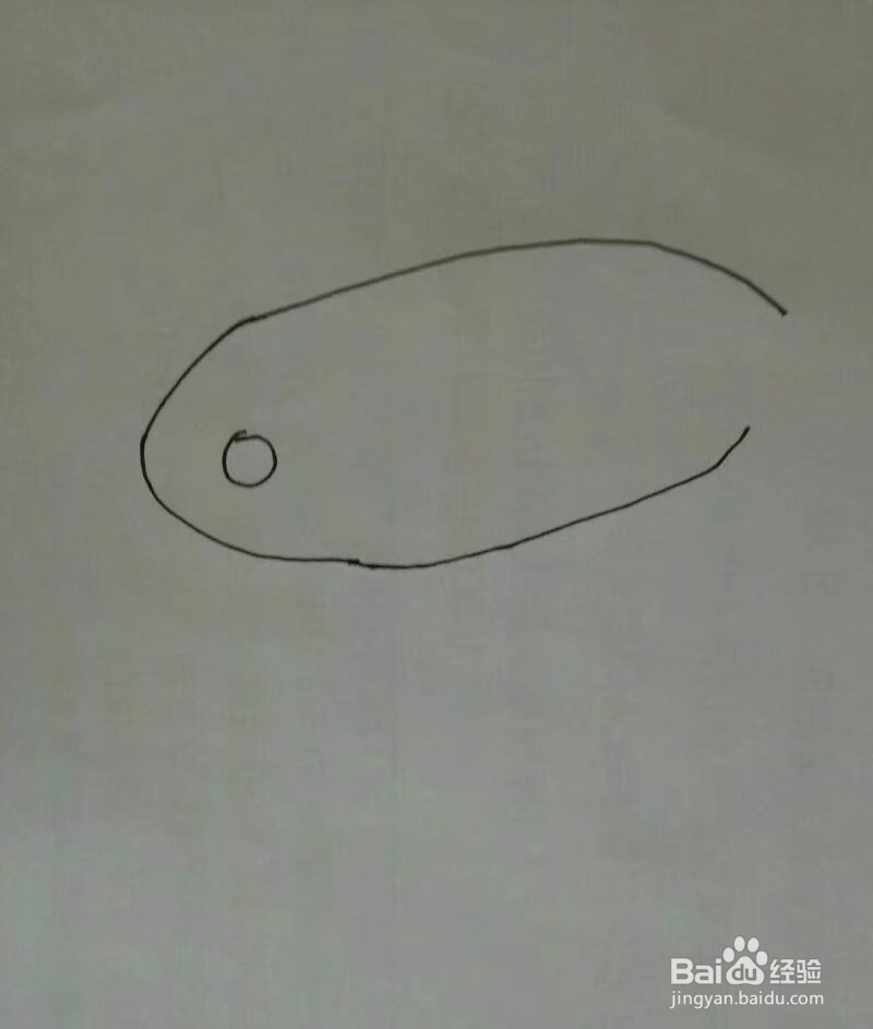 怎样简单画好一只于呢