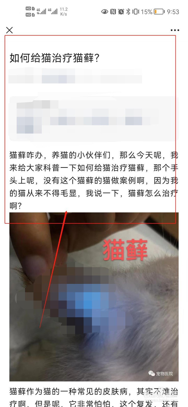 猫毛有白色皮屑怎么办