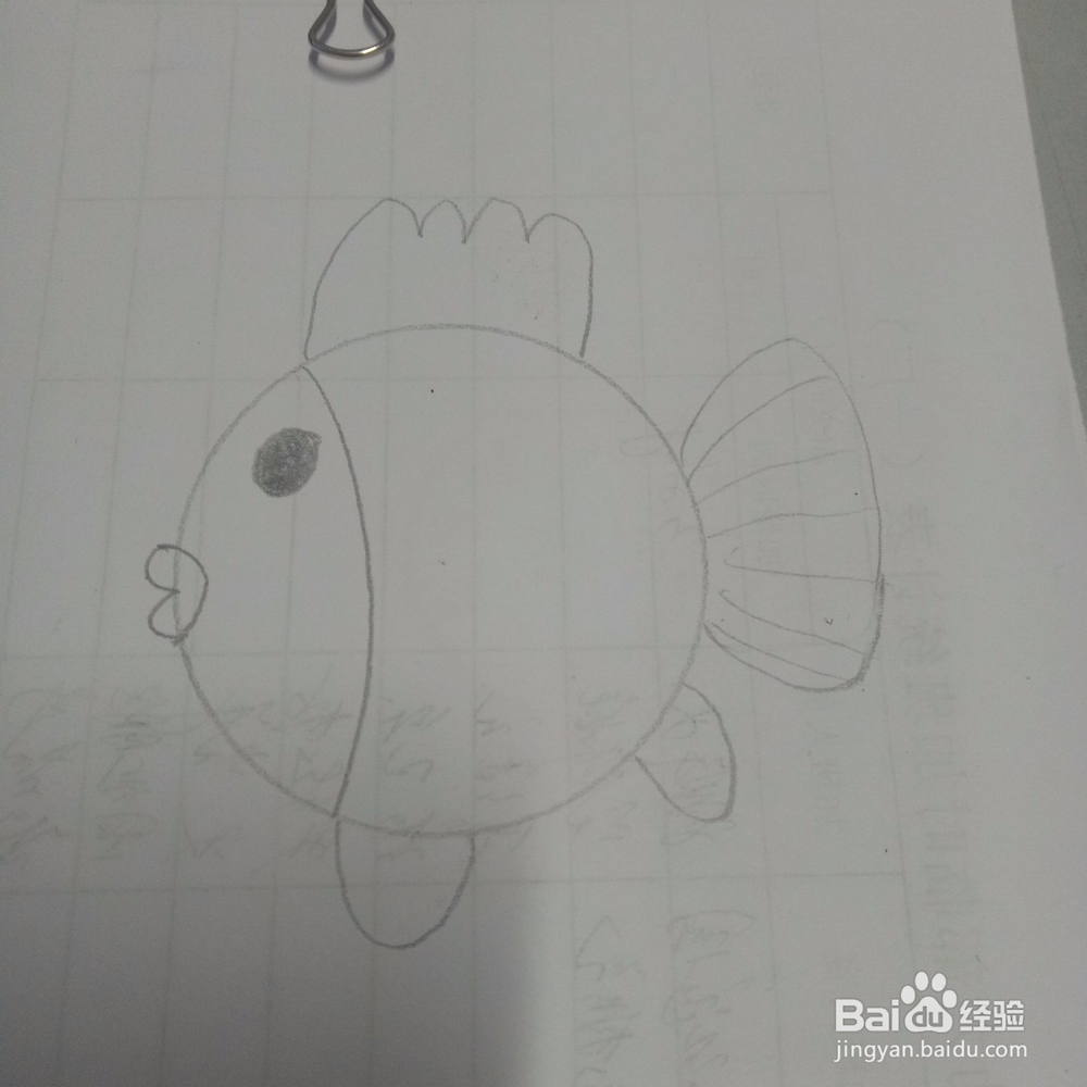 热带小鱼简笔画怎么画