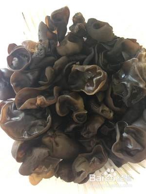 美味的酱焖八爪鱼