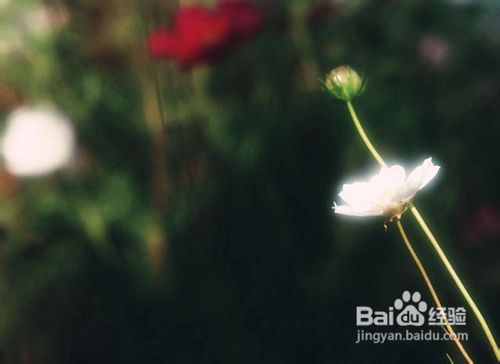 怎样训练童声合唱