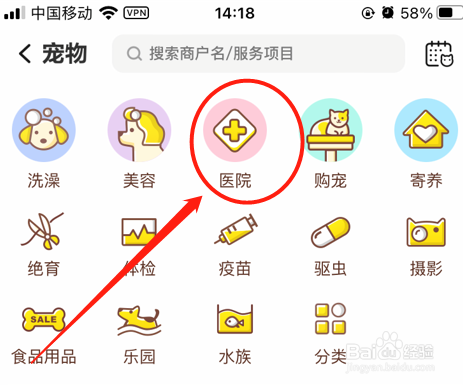 猫咪耳朵流血了怎么办