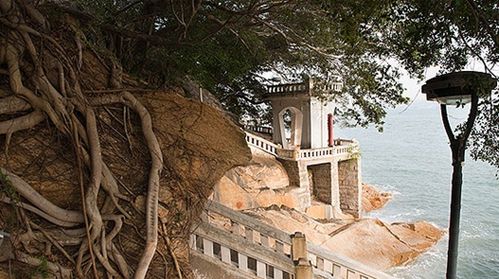 大海的记忆-鼓浪屿之旅