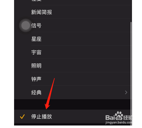 苹果手机如何开启定时暂停功能