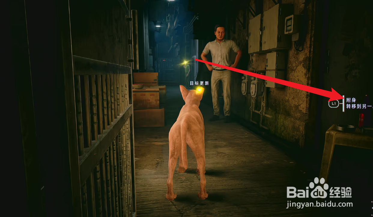 野狗子剧情任务攻略