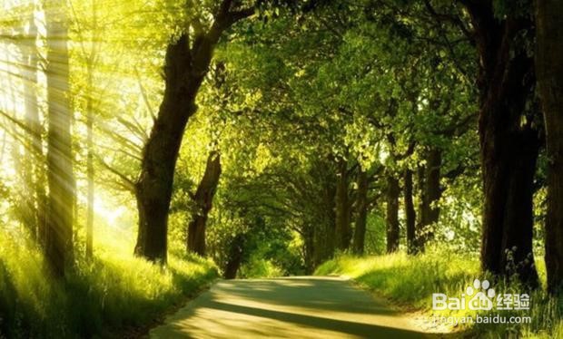 如何拍出优质短视频