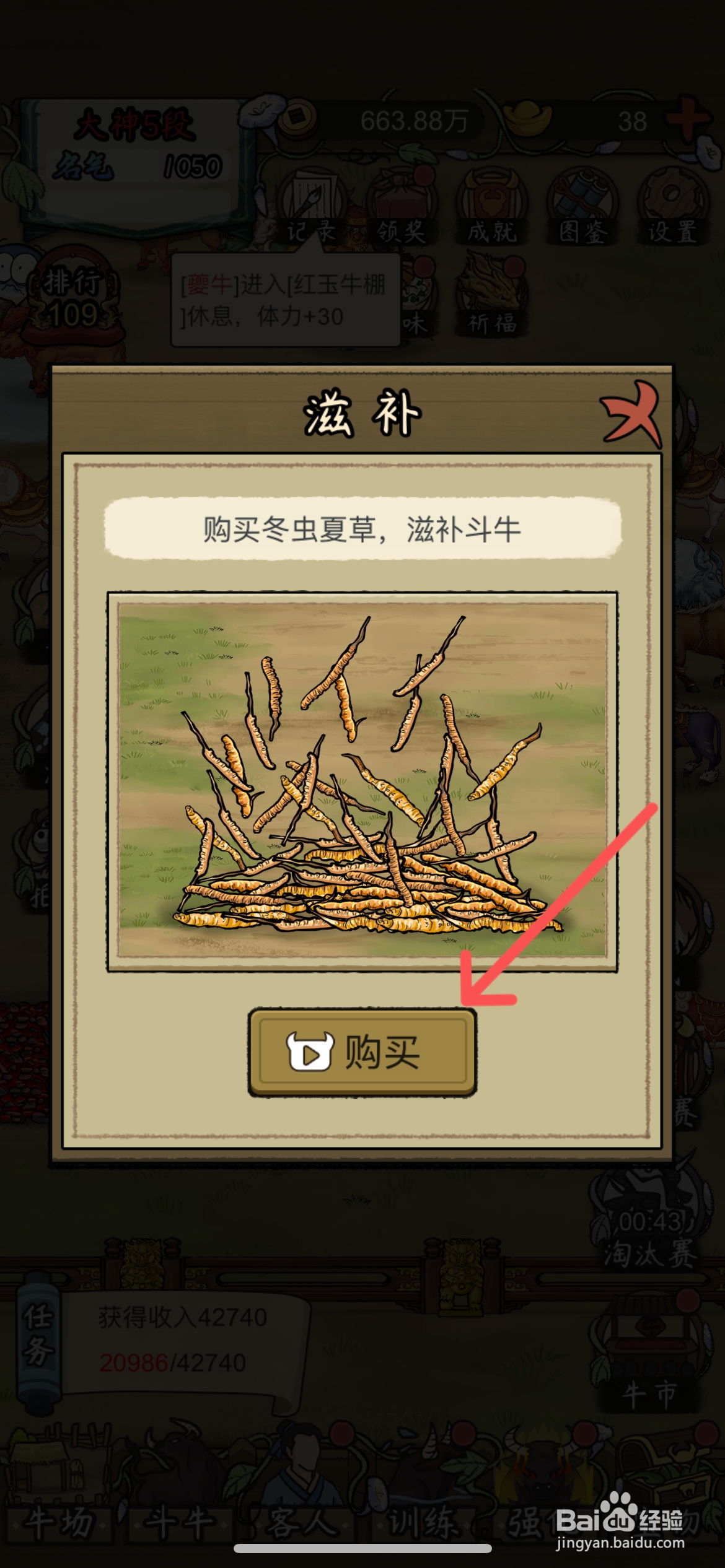 叫我养牛王在哪给斗牛买冬虫夏草滋补