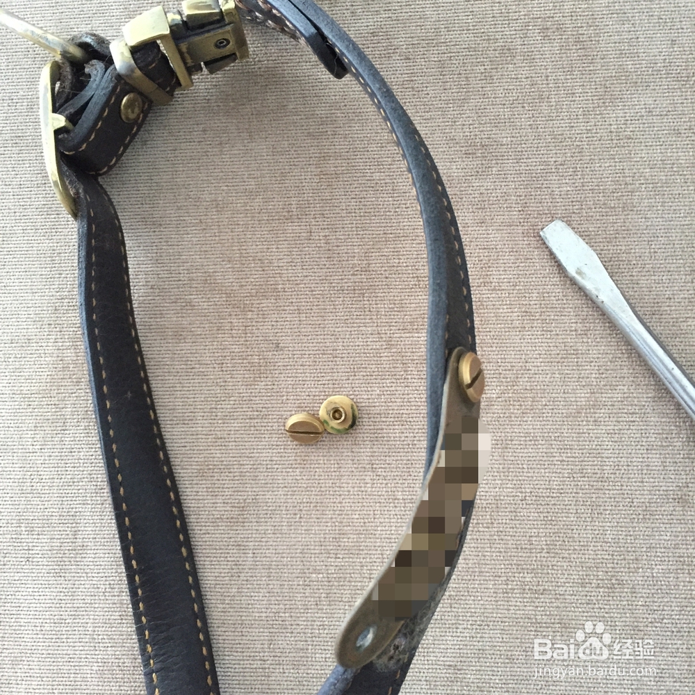 如何给宠物项圈装上狗牌