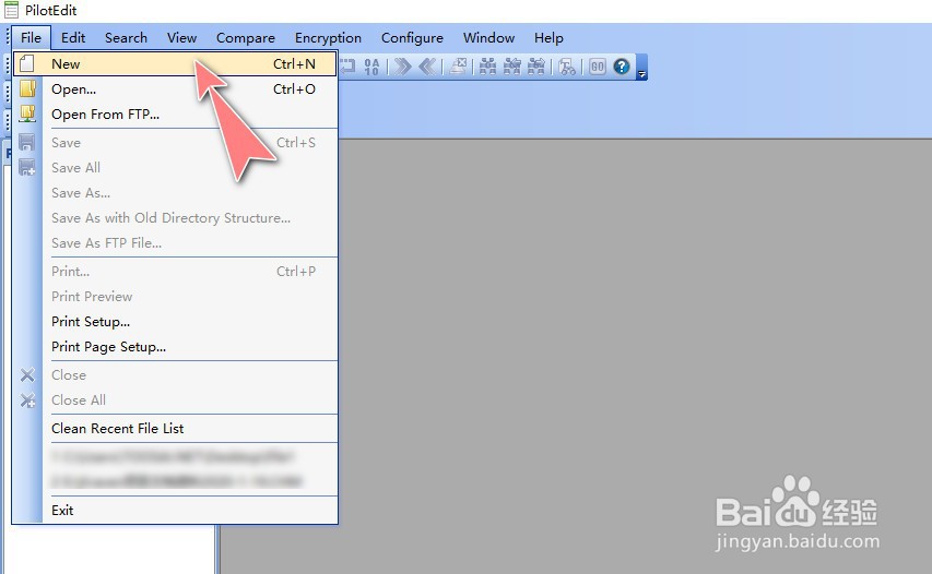 如何使用PilotEdit工具进行加密文件