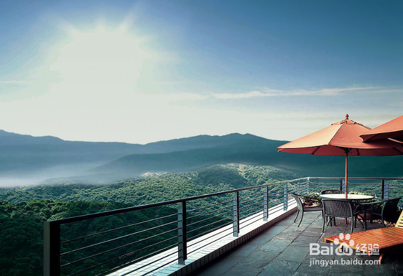 病毒传播途径防