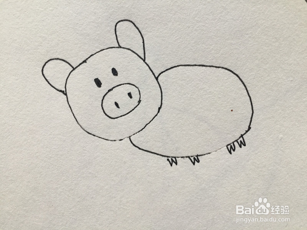 如何画一个简单的小猪简笔画