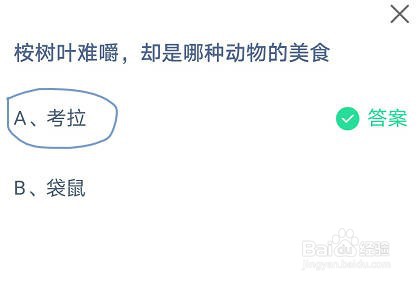 蚂蚁庄园桉树叶难嚼，却是哪种动物的美食？