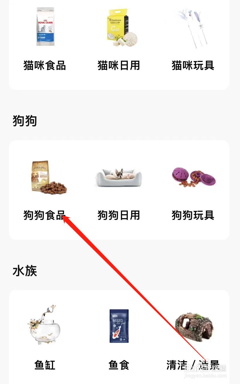转转查看狗狗食品