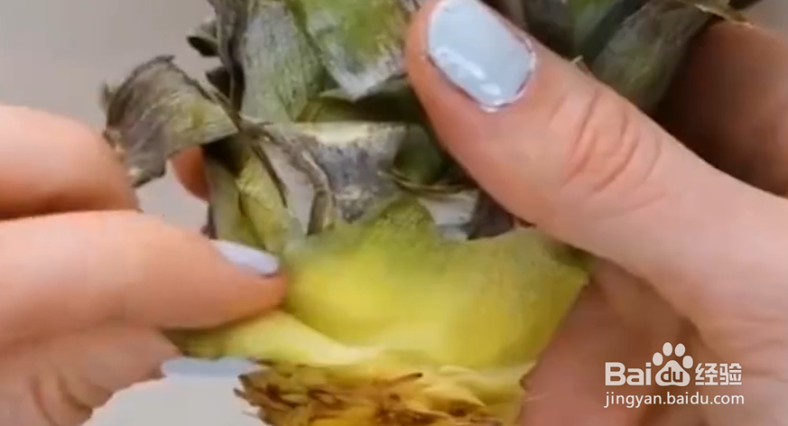 如何学会学会这些生活小技巧