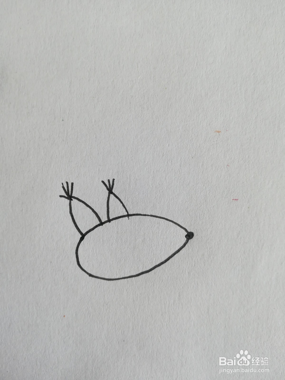 怎么画简笔画小松鼠