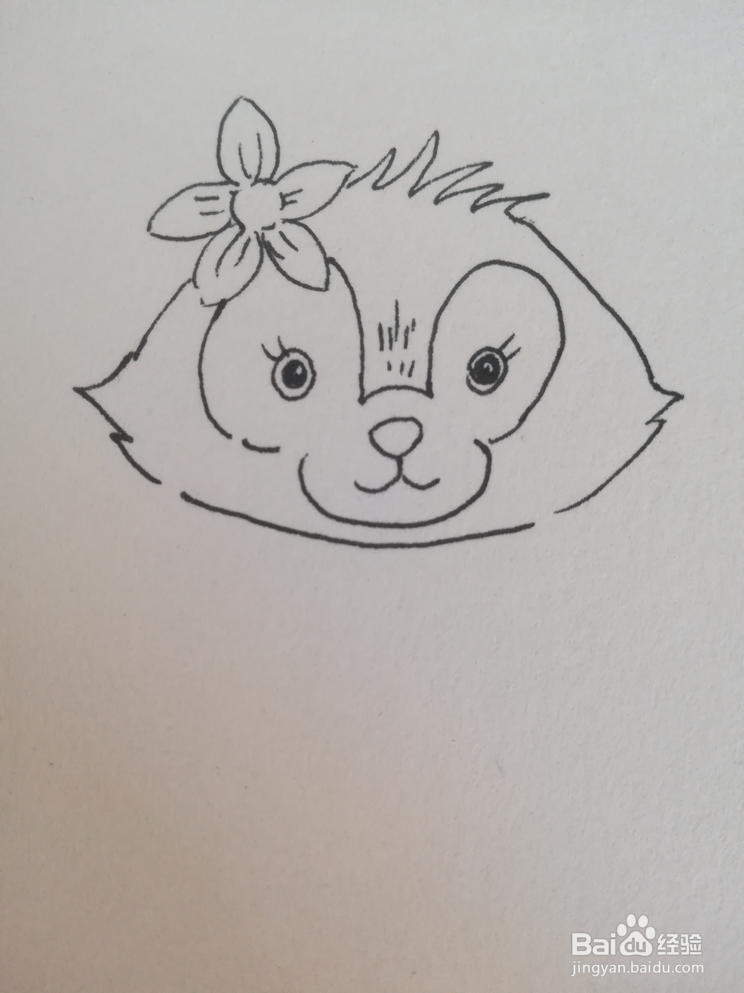 玲娜贝儿怎么画