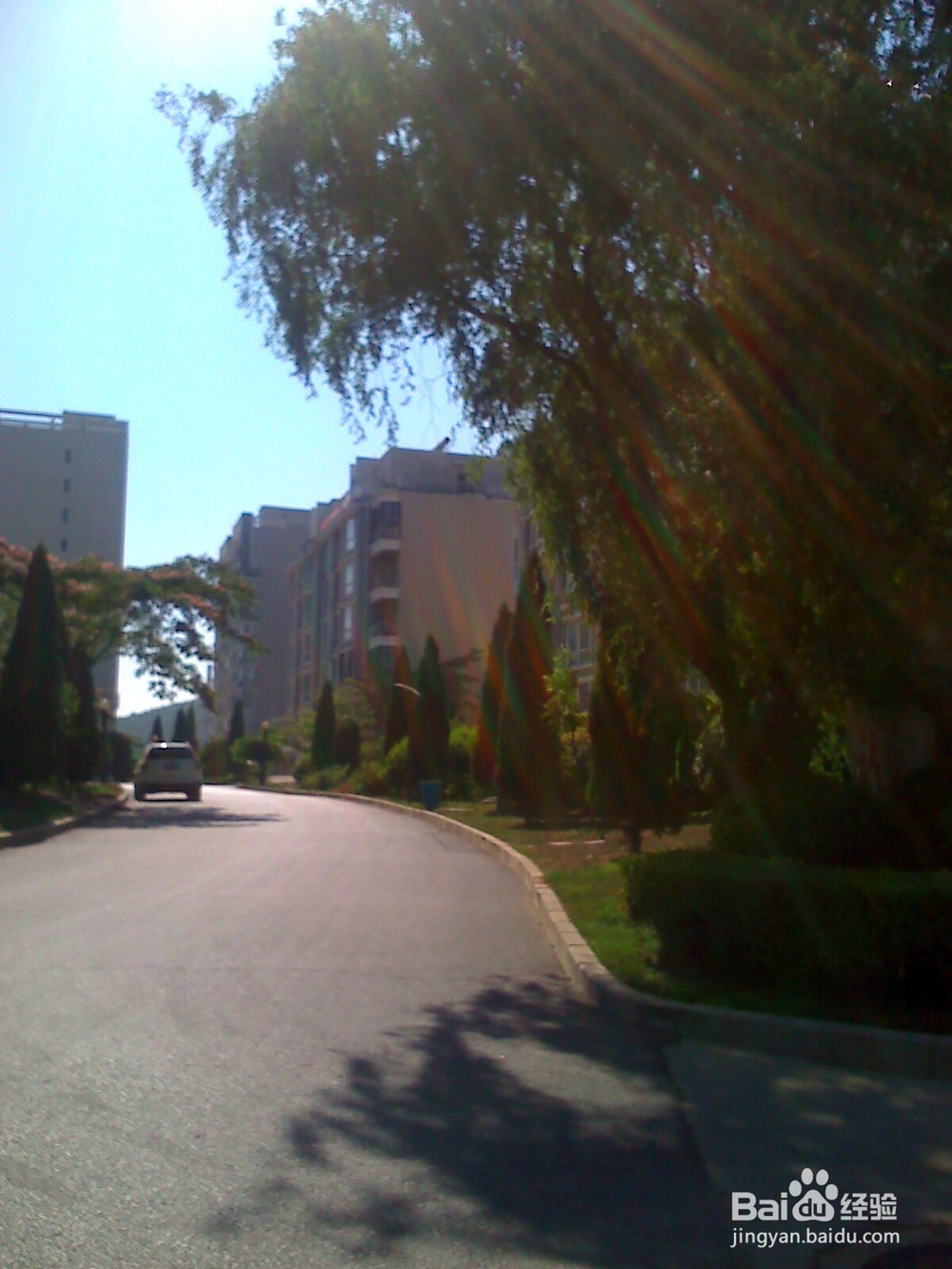 怎样告诉孩子什么是天然的氧吧--20