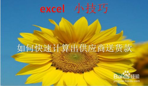 Excel 小技巧如何快速计算出供应商送货款 百度经验