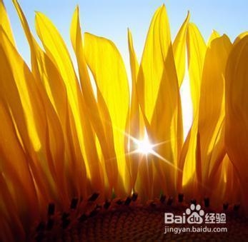 如何调整心态