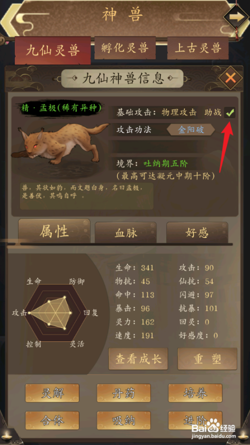 如何在修真江湖中设置神兽助战？