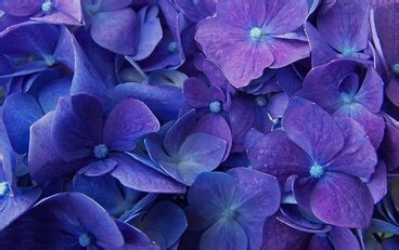 ipad air和ipad mini2的区别