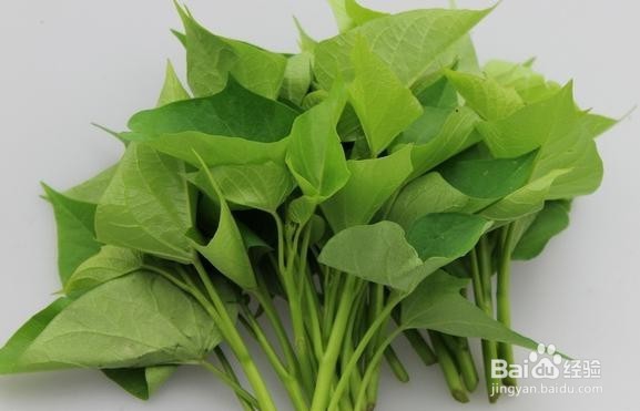 能预防多种疾病的叶子——红薯叶