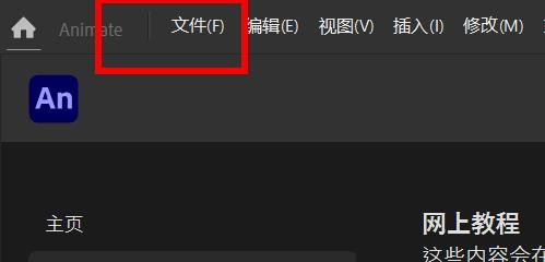 Animate如何插入切换按钮范例模板