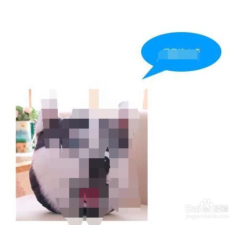 pages文章怎么插入引文