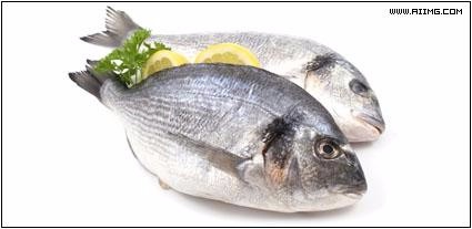 给3岁以上的儿童选择奶粉的小知识