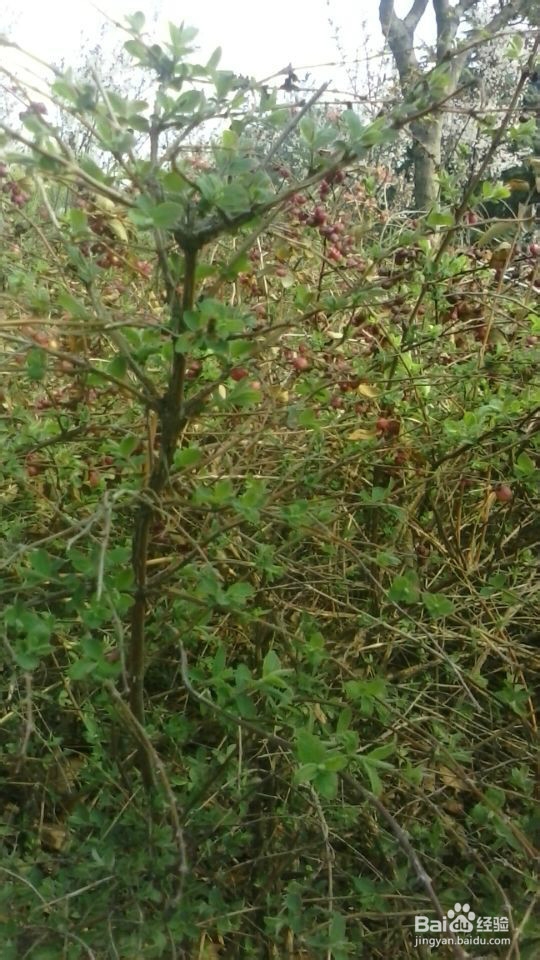 城市中的孩子该如何度过美好周末？