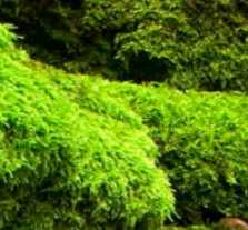 如何修改QT房间名片