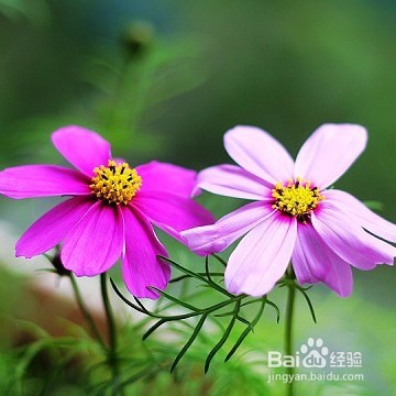 如何垫定自信？