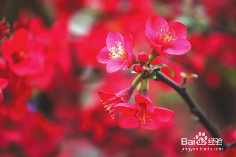 如何巧过一个人的周末?