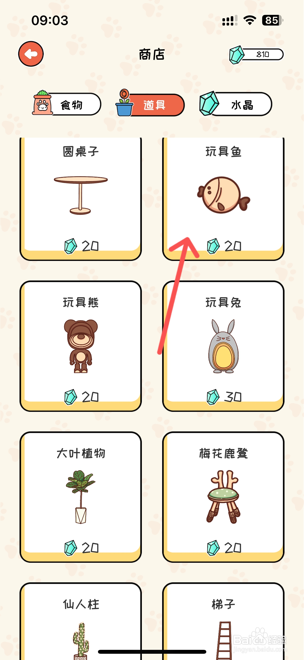 萌小喵日记怎么给知识书屋购买玩具鱼