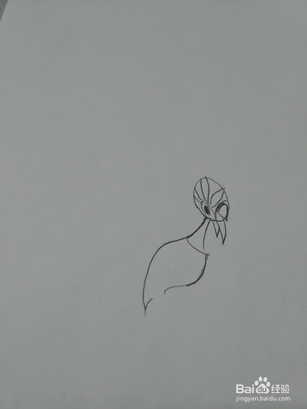 猪猪侠火焰鹤怎么画