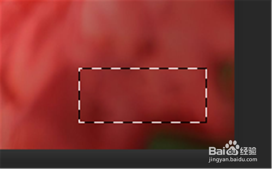 用Photoshop去除水印的两种方法