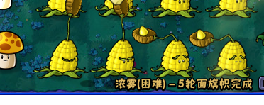 植物大战僵尸生存模式困难浓雾第五轮