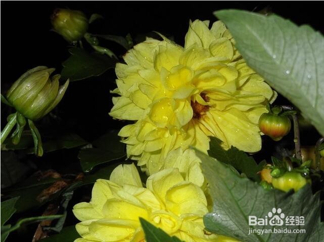 模块创新为刀锋注入新灵魂 Moto Z 深度评测