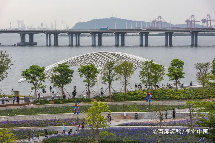 宝安梧桐岛有什么好玩的